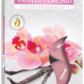 Vanilka - Orchidea